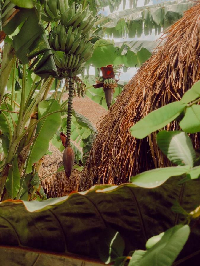 Отель Aldea Che-Eek , Con Acceso A Un Club De Playa Privado Бакалар Экстерьер фото