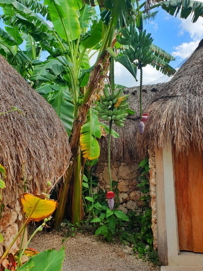 Отель Aldea Che-Eek , Con Acceso A Un Club De Playa Privado Бакалар Экстерьер фото